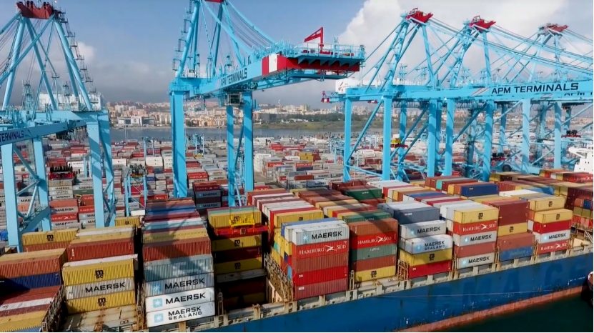国际海运集装箱被放到不可提取区域什么时候才能提柜?